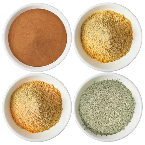Seasoning Powder